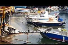 Τρόμος από το χτύπημα του εγκέλαδου στη Μυτιλήνη - Δείτε τα απίστευτα φαινόμενα κατέγραψε η κάμερα δευτερόλεπτα μετά το σεισμό  [video]