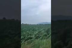 Απίστευτη καταστροφή στα Τρίκαλα [video]