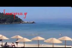 Δελφίνι εμφανίστηκε στις εκβολές του Αχέροντα στην Αμμουδιά Πρέβεζας
