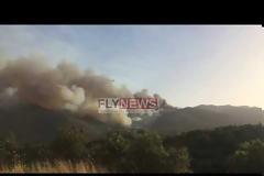 Σε πύρινο κλοιό η ανατολική Μάνη.Ο δήμαρχος κατηγορεί την πυροσβεστική