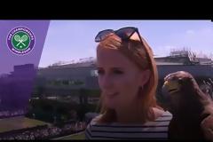 Ένα γεράκι «περιπολεί» το Wimbledon - Έχει «σώσει» τους διοργανωτές με τη δουλειά του