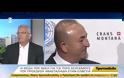 ΤΟ ΚΥΠΡΙΑΚΟ ΣΤΟ ΕΠΙΚΕΝΤΡΟ ΤΟΥ ΕΘΝΙΚΟΥ ΣΥΜΒΟΥΛΙΟΥ ΕΞΩΤΕΡΙΚΗΣ ΠΟΛΙΤΙΚΗΣ VD
