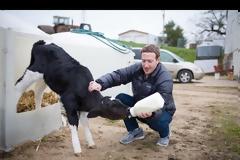 Business Insider:Η απίστευτη ζωή του Μαρκ Ζούκερμπεργκ