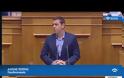 ΣΥΓΚΡΟΥΣΗ ΤΣΙΠΡΑ - ΜΗΤΣΟΤΑΚΗ ΣΤΗ ΒΟΥΛΗ