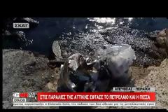 ΣΤΙΣ ΠΛΗΓΕΙΣΕΣ ΠΕΡΙΟΧΕΣ ΑΠΟ ΤΗΝ ΠΕΤΡΕΛΑΙΟΚΗΛΙΔΑ Ο ΚΥΡ. ΜΗΤΣΟΤΑΚΗΣ VD