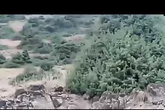 Καστοριά: Έβγαλε το σκύλο βόλτα και έπεσε πάνω σε… αρκούδες [video]