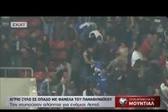Σοκαριστικό βίντεο με τον ξυλοδαρμό οπαδού στον αγώνα της Εθνικής Ελλάδας επειδή φορούσε φανέλα του Παναθηναϊκού!