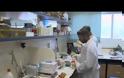 Απίστευτο κόλπο: Δείτε πως με μια πατάτα μπορείτε να έχετε δωρεάν φως για ένα μήνα! (vid)