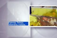 Συγκλονίζει η μαρτυρία του ιδιοκτήτη νταλίκας που ο οδηγός της αγνοείται στη Μάνδρα [video]