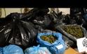 Φθιώτιδα: Νέο χτύπημα κατά των ναρκωτικών (βίντεο & φωτογραφίες)