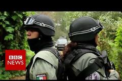 Ο πράσινος χρυσός του Μεξικού [video]