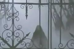 Mazzy Star - Flowers In December (Official video)