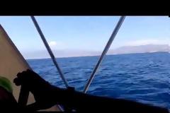 Καπετάνιος στη Κρήτη τραβούσε αυτό το βίντεο και «έπιασε» μια σκηνή που θα του μείνει αξέχαστη!