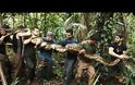 ΣΑΛΟΣ με εκπομπή του Discovery: Ανακόντα τρώει ζωντανό έναν άνθρωπο... [video]