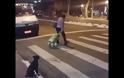 Απίστευτος σκύλος περιμένει το πράσινο για να περάσει τη διάβαση στον δρόμο! [video]