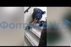 Βίντεο - Ντοκουμέντο: Χρήση ναρκωτικών στο Οικονομικό Πανεπιστήμιο Αθηνών!