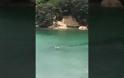 Σοκαριστικό βίντεο: Δύο όρκες περνούν δίπλα από παιδάκια που κολυμπούν