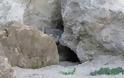 Τοποθέτησαν μια κάμερα έξω από αυτή την σπηλιά και κατέγραψαν ένα πολύ σπάνιο ζώο [video]