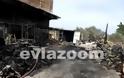 Εκβιασμοί και τοκογλυφίες στην Εύβοια: Στη φυλακή 53χρονος έμπορος ξυλείας από το Βασιλικό! Κατηγορείται και για εμπρησμό σε επιχείρηση - Προφυλακίστηκε και επιχειρηματίας από την Ερέτρια (ΦΩΤΟ & ΒΙΝΤΕΟ)