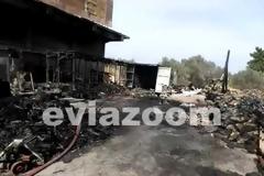 Εκβιασμοί και τοκογλυφίες στην Εύβοια: Στη φυλακή 53χρονος έμπορος ξυλείας από το Βασιλικό! Κατηγορείται και για εμπρησμό σε επιχείρηση - Προφυλακίστηκε και επιχειρηματίας από την Ερέτρια (ΦΩΤΟ & ΒΙΝΤΕΟ)