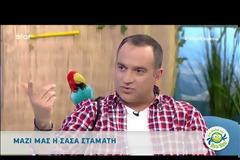 Η Σάσα Σταμάτη απάντησε για τον Παύλο Βαρδινογιάννη - Είμαστε... [video]
