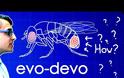 Evo-Devo (Despacito Biology Parody)