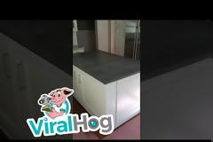 Τι κρύβει ένας συνηθισμένος πάγκος κουζίνας... [video]