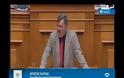 Χρυσή Αυγή : «Δεν μας σταματάτε με πρόστιμα και αποκλεισμούς!» [3 Βίντεο]