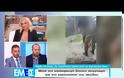 Συγγνώμη ζητούν οι δύο στρατιώτες που βασάνισαν τον σκύλο σε στρατόπεδο [Βίντεο]
