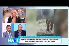 Συγγνώμη ζητούν οι δύο στρατιώτες που βασάνισαν τον σκύλο σε στρατόπεδο [Βίντεο]