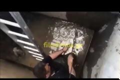 Eπιχείρηση διάσωσης προβατίνας σε φρεάτιο (βίντεο)