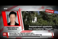 Τρόμος στη Βουλιαγμένη - Ένοπλοι αλλοδαποί ληστές εισέβαλαν σε σπίτι πασίγνωστης δικηγόρου [Βίντεο]