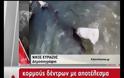 Τραγωδία στο Λάδωνα: «Δεν είναι δυνατό να την αφήσουν και να φύγουν», λέει ο πατέρας της 40χρονης