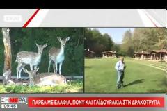 Δ. Οικονόμου: Ο παράδεισος της Ελλάδας που τον γοήτευσε! [video]