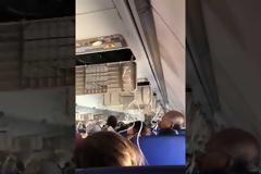 Στιγμές τρόμου σε Πτήση - Φρικιαστικός θάνατος για 43χρονη, τη «ρούφηξε» το σπασμένο παράθυρο [video]