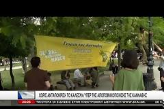 Τρεις και ο κούκος...Χωρίς ανταπόκριση το κάλεσμα υπέρ της αποποινικοποίησης της κάνναβης [Βίντεο]