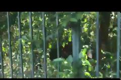 Μάζεψαν την Λουκά από τον Εθνικό Κήπο... (VIDEO)