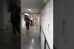 Με ομπρέλες στην οδοντιατρική σχολή του ΑΠΘ – Κατέρρευσαν ταβάνια [video]