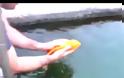 Ένα ψάρι που … λατρεύει τα χάδια! [vid]